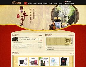 萬戶網絡 18年老牌網站建設公司，專業鑄就廣州與深圳精品網站設計