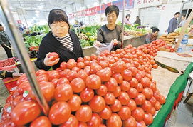 蔬菜價格四周累計回落6.3%，食用農產品批發態勢分析